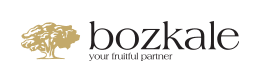 Bozkale