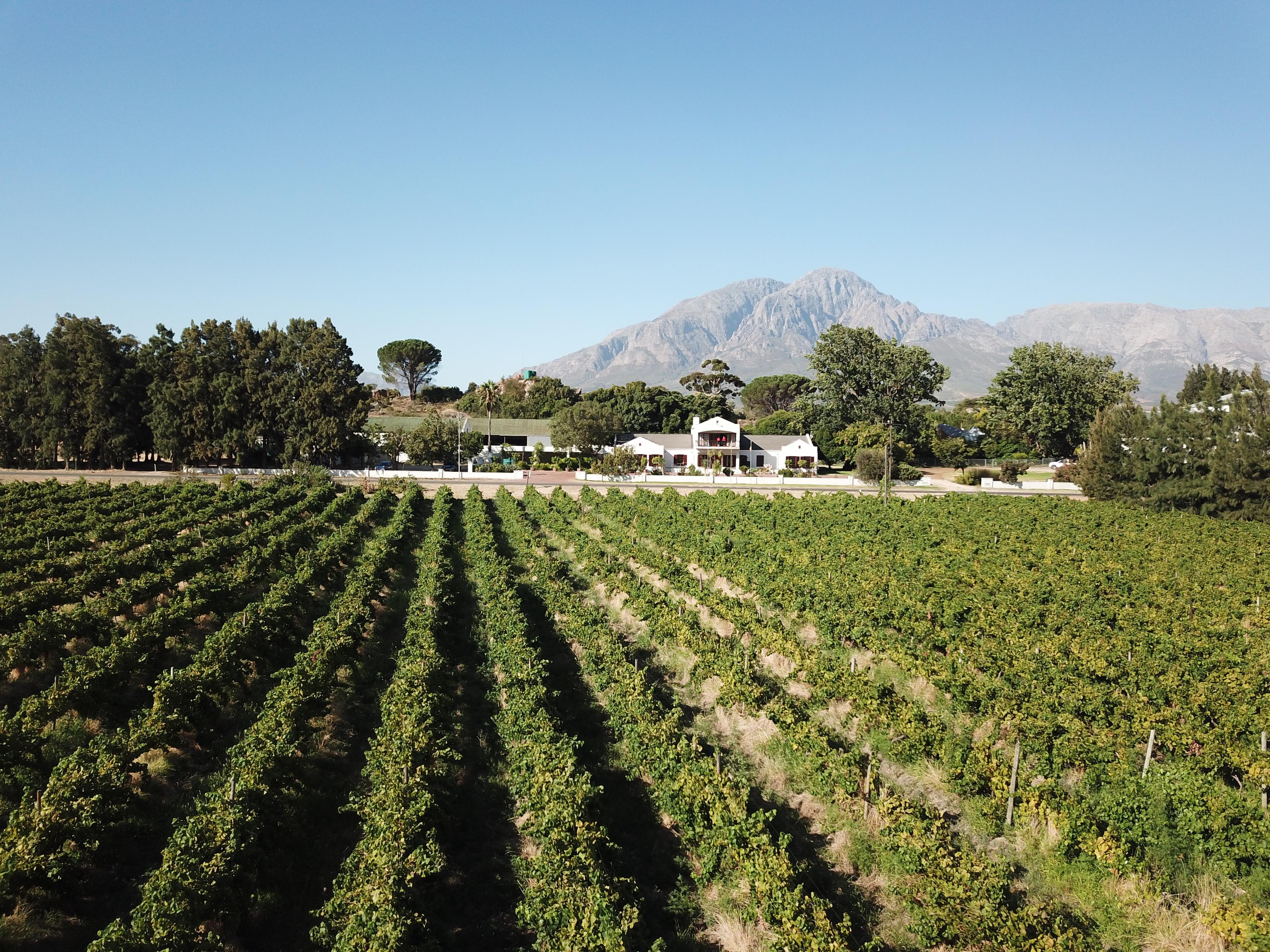 Bergsig Sauvignon Blanc 2023