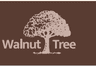 Walnut Tree