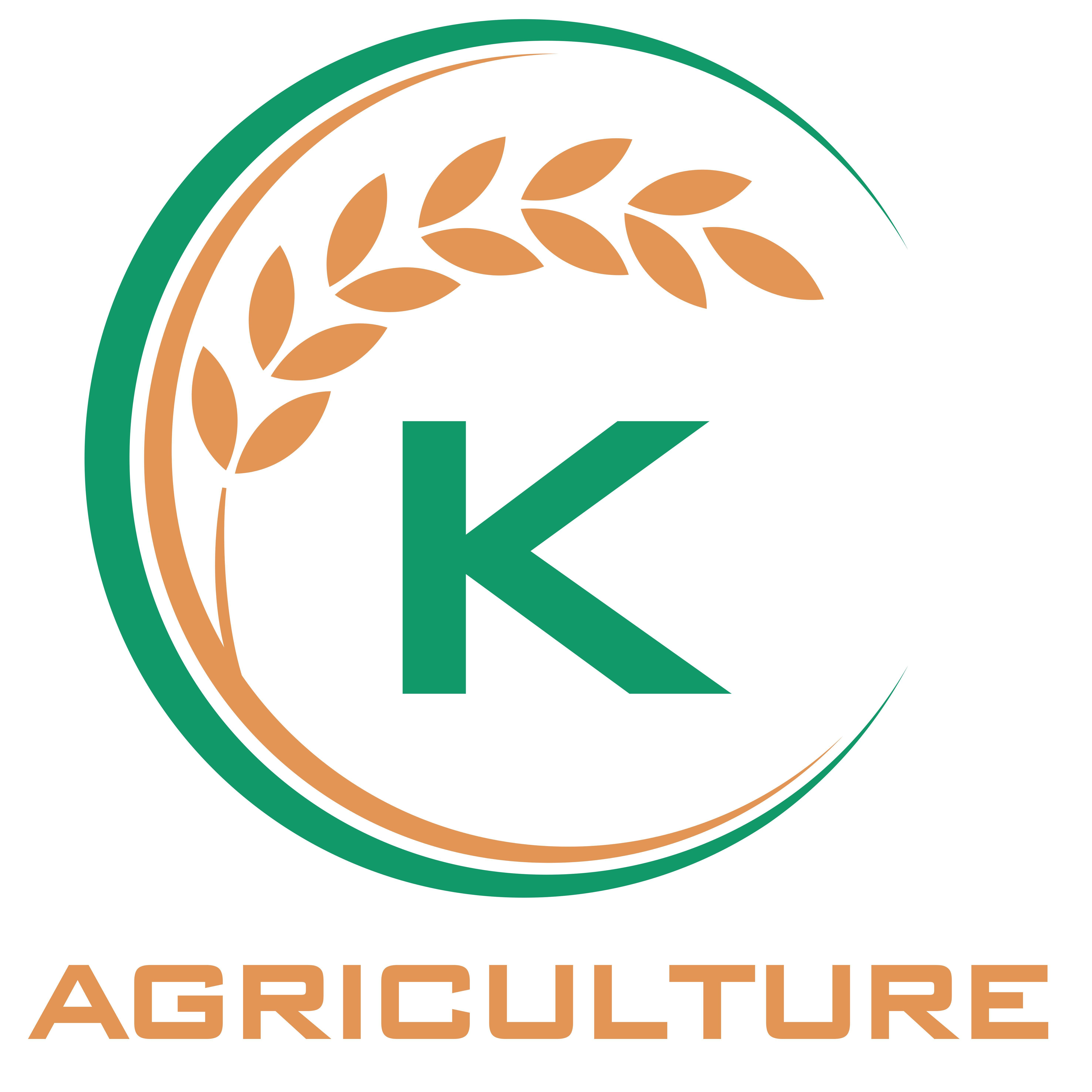 ST25 Vietnam First-Ranking White Rice With World's Certificate Best Rice