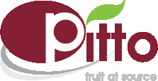 Pitto