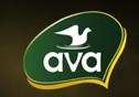 ava Coconuttys