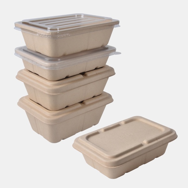 Bagasse Takeaway Food Containers