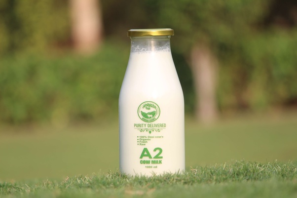 DIY Haircare with Gir Cow Milk