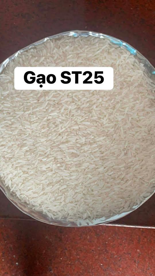 ST25 rice