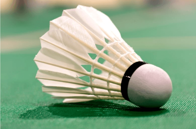 Badminton Balls Shuttlecock White Feather Flying Stability Durable Training Indoor Outdoor Sports