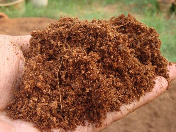 Coco Peat Origin India Features Organic Product Type Fruits Vegetables, Rice