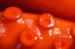 South Korean Seafood Imports from Japan Decline Further on Fukushima Wastewater Release Worries and High Prices