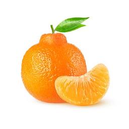 Egypt Advances Start Date of 2023/24 Orange Export Season Due to Accelerated Ripening