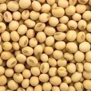 Soyabeans
