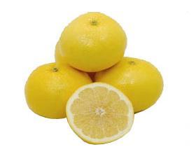 Grapefruit