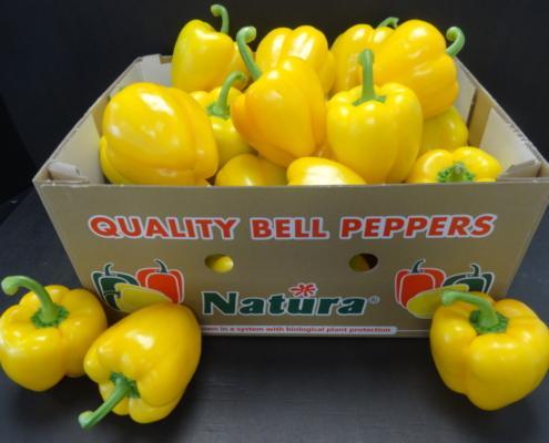Bell Pepper