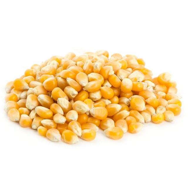 Corn