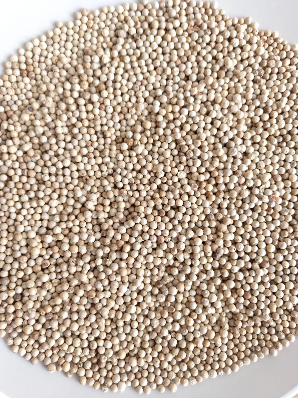White Pepper
