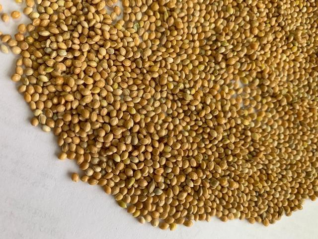 millet