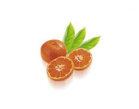 Mandarin