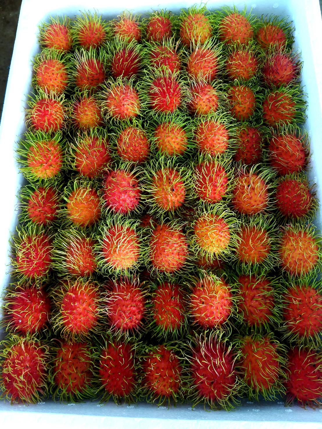 Fresh Rambutan