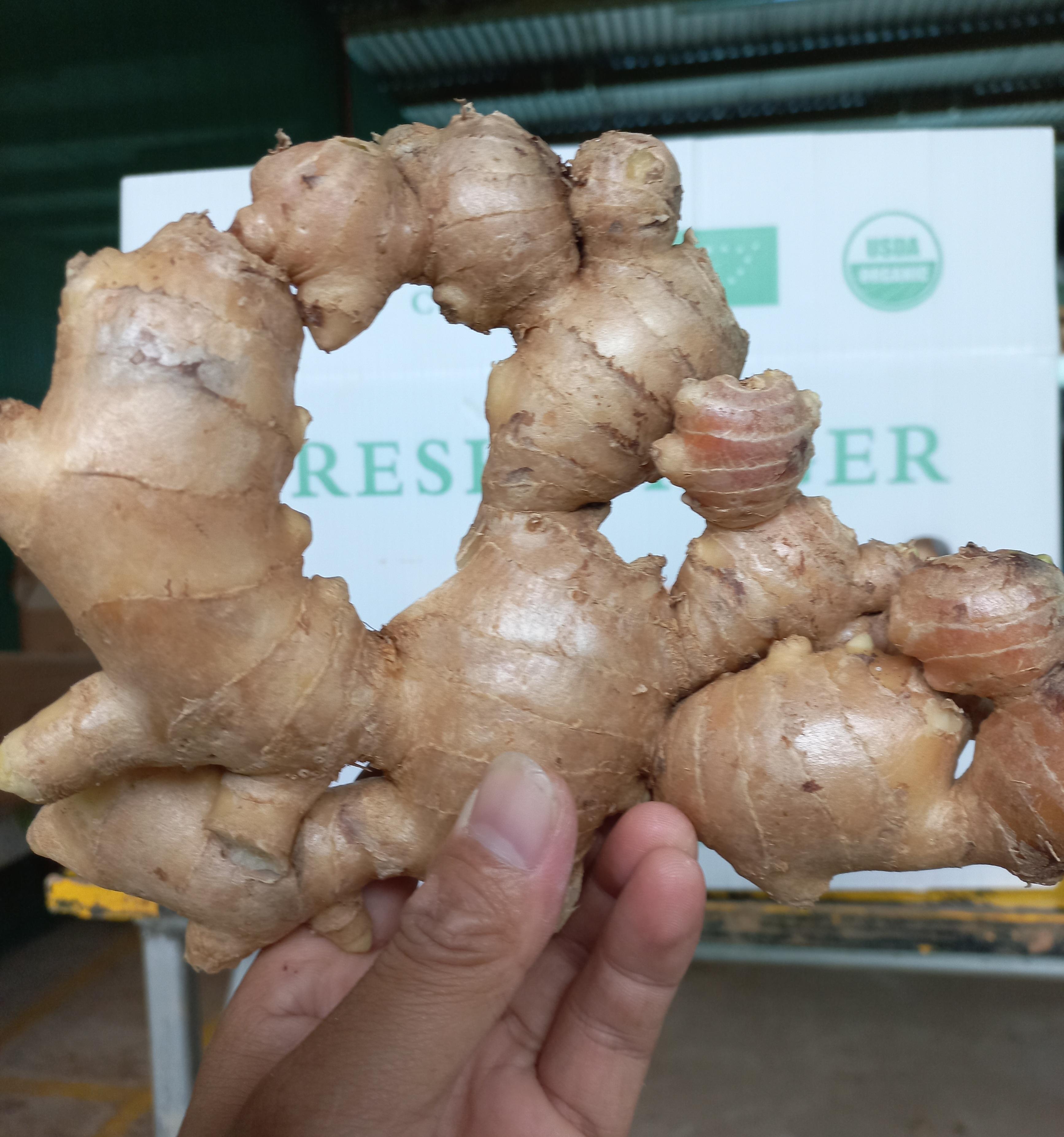 Fresh ginger