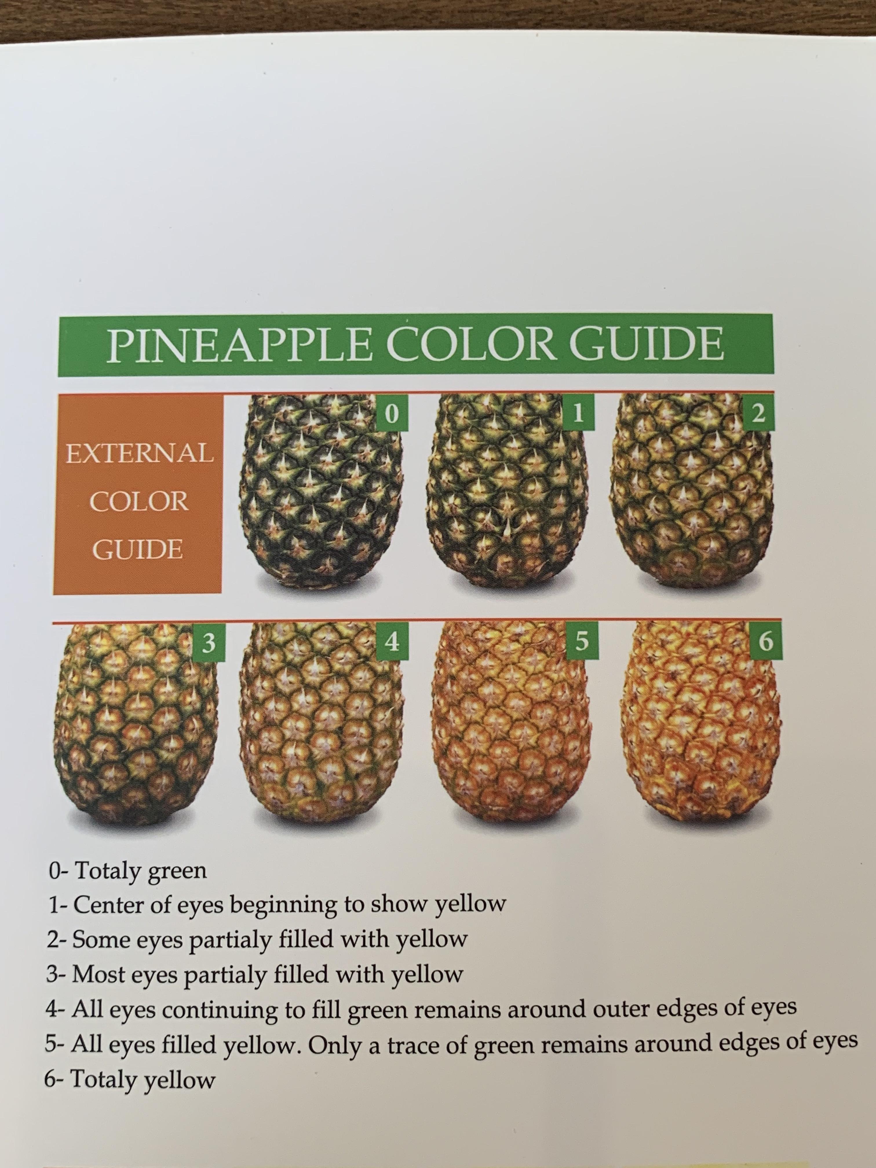 La Dona Golden Pineapple