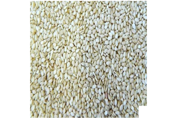 Organic Sesame