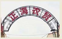 supplier