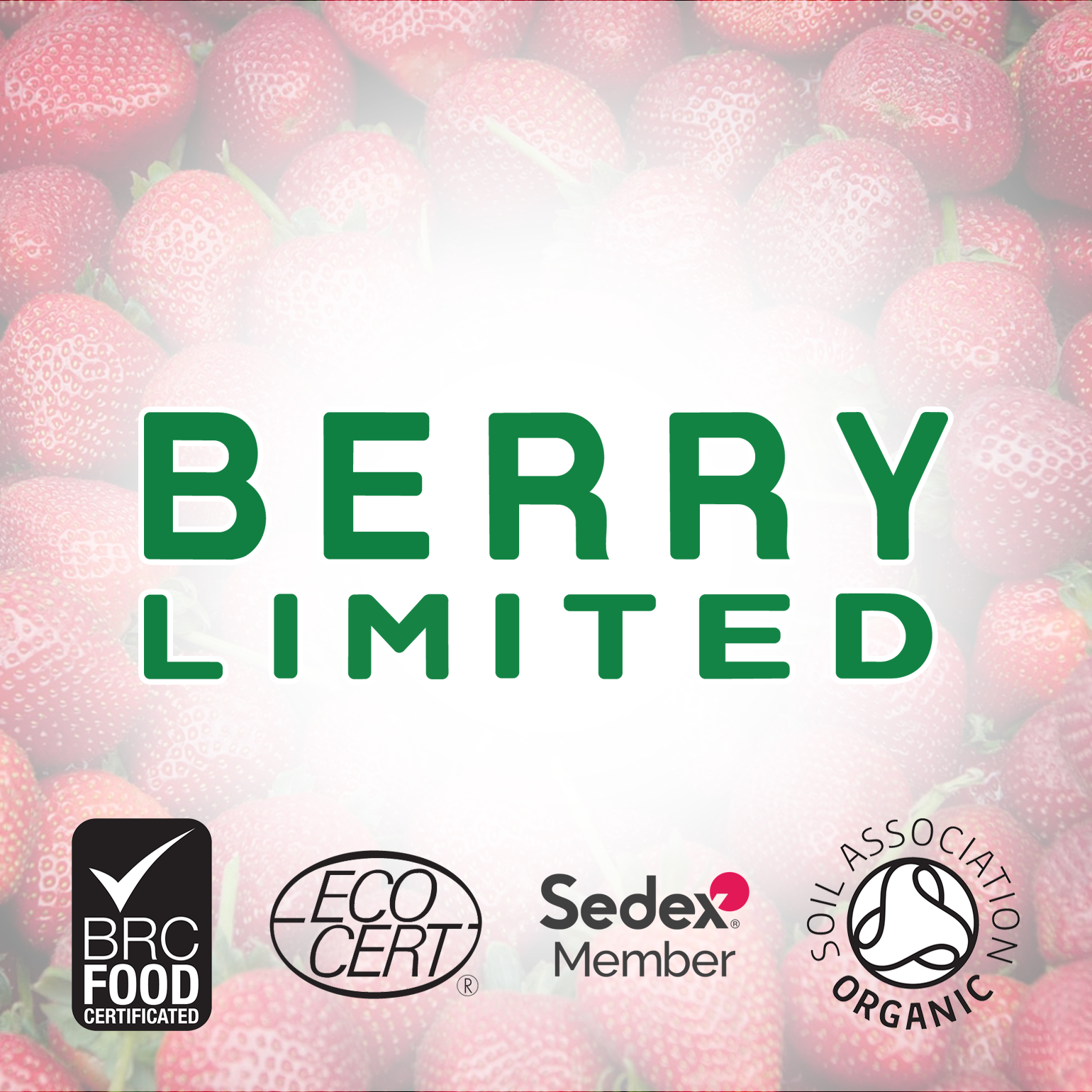 Berry Ltd