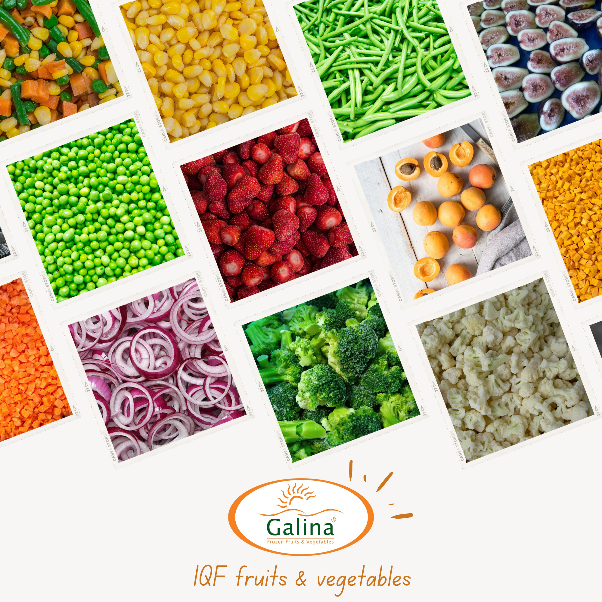 Galina Gallo Food Production Complex